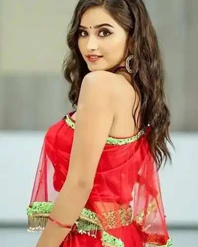 Call Girl Service in Basavanagudi